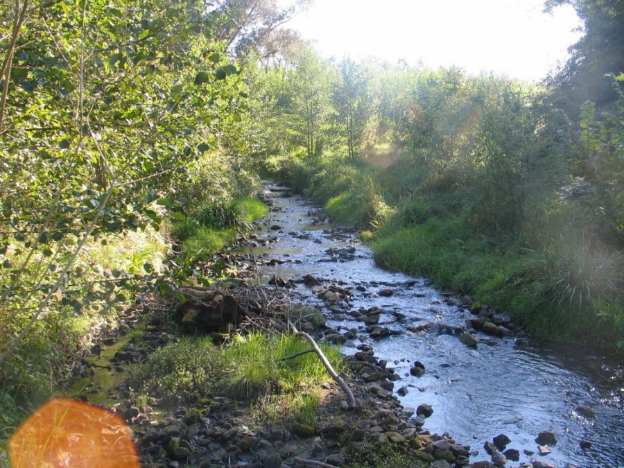 Biotopvernetzung Fließgewässer