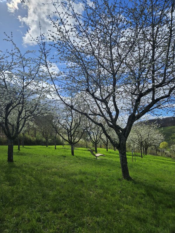 Obersulmer Obsterlebnis – Im Obsterlebnis gibt es viel zu entdecken. (© Gemeinde Obersulm)