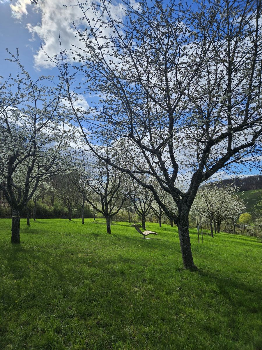 Obersulmer Obsterlebnis – Im Obsterlebnis gibt es viel zu entdecken. (© Gemeinde Obersulm)